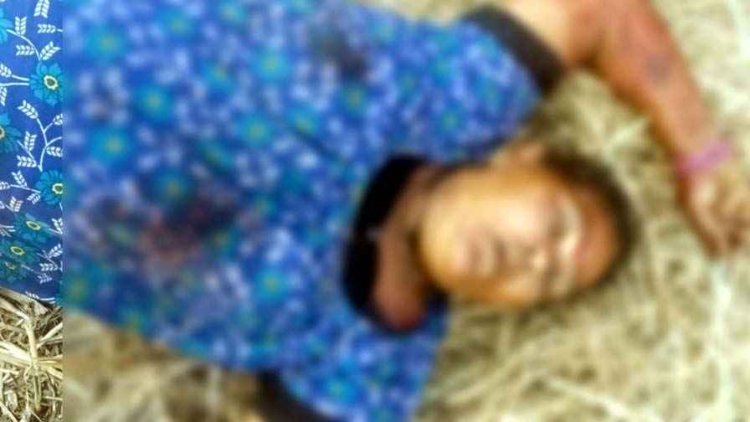 बोरसी में धान कटाई के दौरान ट्रैक्टर की चपेट में आई 62 वर्षीय महिला की मौत, मचा हड़कंप, गांव में शोक का माहौल, जांच में जुटी पुलिस