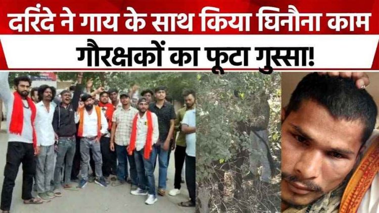 इंसानियत को शर्मसार करने वाला मामला, गौ माता के साथ दुष्कर्म, वीडियो वायरल, लोगों में आक्रोश, कड़ी कार्यवाही की मांग, आरोपी गिरफ्तार