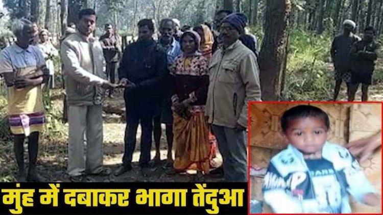 आदमखोर तेंदुए ने तीन वर्षीय बच्चे को बनाया शिकार, आंगन में खेलते समय ले गया उठाकर; बिना चेहरे के मिला शव, गांव में दहशत का माहौल