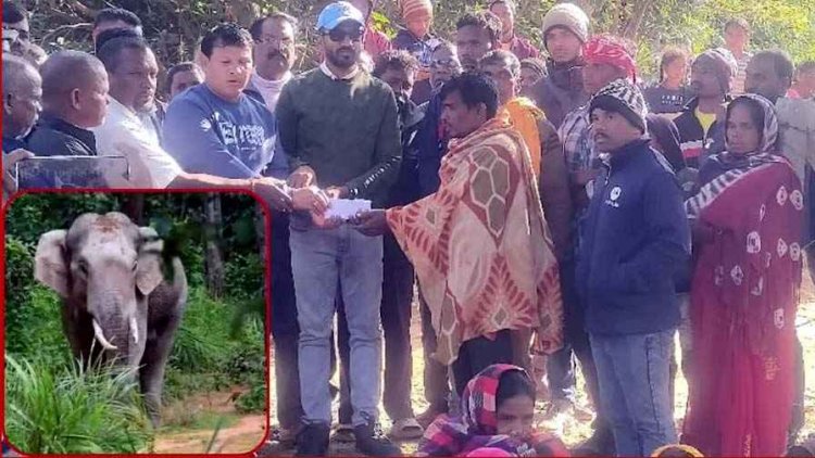 हाथियों का तांडव जारी, लोनर हाथी के हमले से एक महिला की मौत, एक हफ्ते में तीन लोगों की गई जान, ग्रामीणों में दहशत का माहौल
