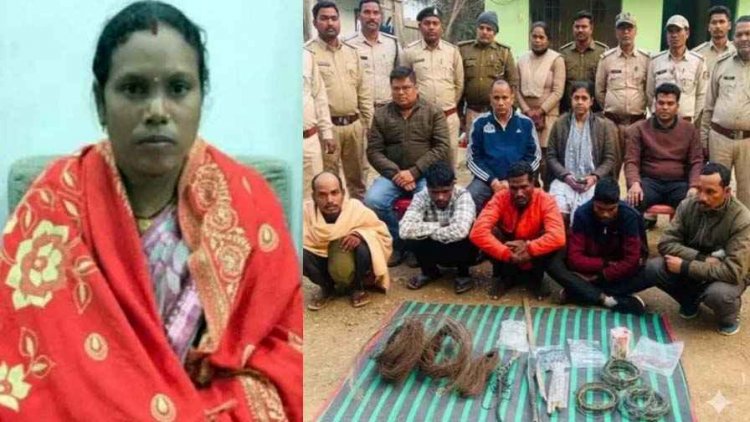 जंगल में करंट से बाघ की मौत मामले में महिला सरपंच समेत आरोपी गिरफ्तार, सभी भेजे गए जेल, बिट गार्ड सस्पेंड, नाखून-बाल घर से बरामद