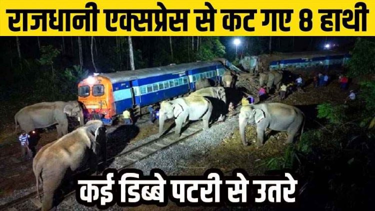 राजधानी एक्सप्रेस की चपेट में आए हाथी, 8 हाथियों की मौत, पटरी से उतरे ट्रेन के 5 डिब्बे, आखिर कब तक पटरियों पर दम तोड़ते रहेंगे गजराज?