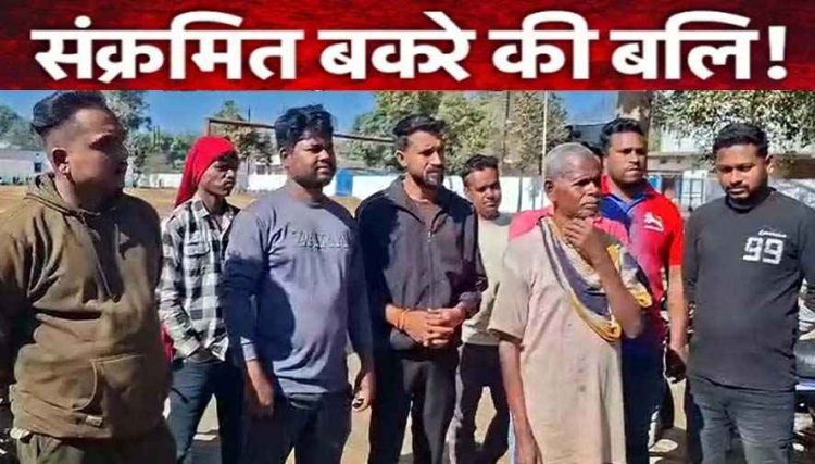 पूजा में रैबीज संक्रमित कुत्ते के काटे बकरे की बलि, 400 गांव वालों ने खाया मांस,  आज जांच के लिए लगाया जाएगा कैंप, ग्रामीणों में मचा हड़कंप