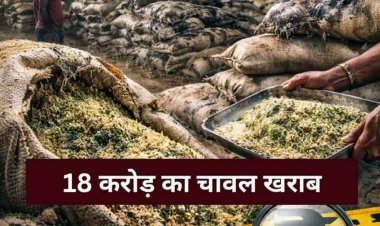 18 करोड़ के 30 हजार क्विंटल चावल में पड़े फफूंद, साफ कर खपाने की कोशिश, मिलीभगत की आशंका, गोदाम प्रभारी और मैनेजर फरार