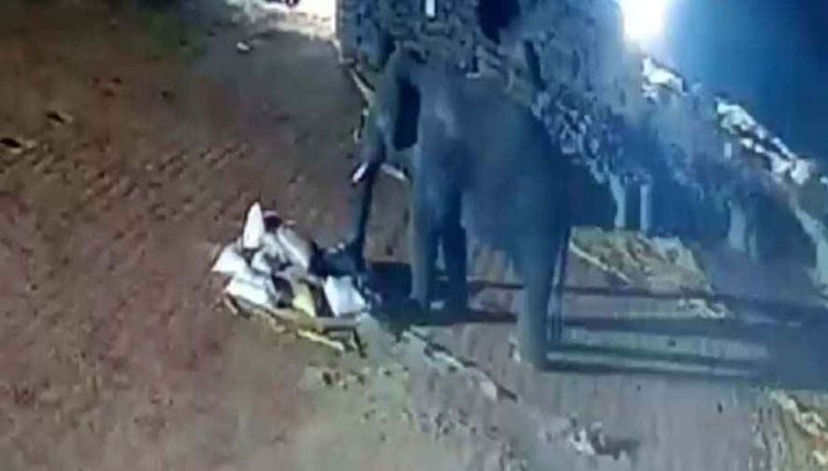 दंतैल हाथी ने धान खरीदी केंद्र में मचाया उत्पात, कर्मचारियों ने भागकर बचाई अपनी जान, ग्रामीणों में दहशत का माहौल, रतजगा को मजबूर