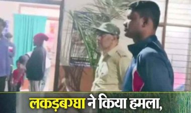 तालाब में नहाते समय लकड़बग्घे का हमला, युवक की हालत नाजुक, इलाके में दहशत का माहौल, वन विभाग ने तत्काल पहुंचकर कराया इलाज