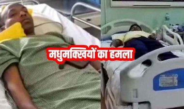 मधुमक्खियों ने राहगीरों पर किया हमला, सड़क पर मची अफरा-तफरी, छात्र समेत 5 लोग घायल, एक युवक आईसीयू में भर्ती, आवागमन बंद!