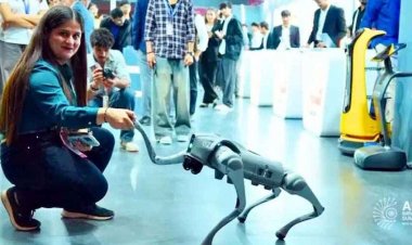AI समिट में चाइनीज रोबोटिक डॉग को बताया भारत का मॉडल!, चीन ने खोली पोल, पोस्ट कर दिया डिलीट, दुनिया में देश की बदनामी का जिम्मेदार कौन?