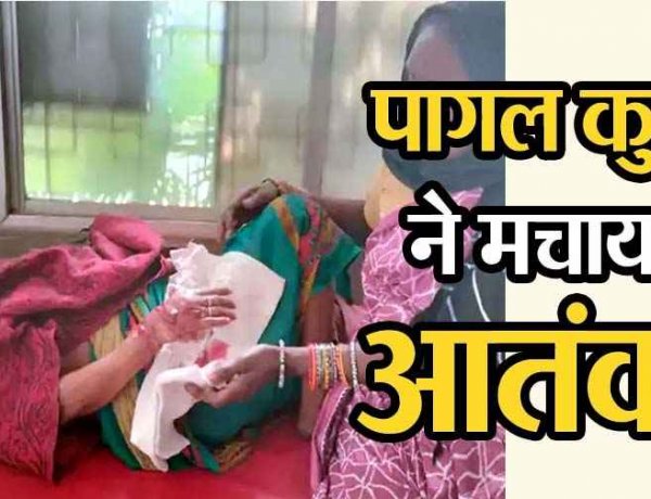 छत्तीसगढ़ में पागल कुत्तों का आतंक, 3 गांवों में 5 लोगों पर किया हमला, अस्पताल में भर्ती, इलाज जारी, ग्रामीणों में डर और आक्रोश का माहौल