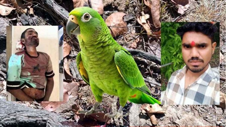 भूतबेड़ा में दर्दनाक हादसा, तोता पकड़ने पेड़ पर चढ़े युवक की दर्दनाक मौत, सिर के बल गिरने से गई जान, गांव में शोक की लहर, जांच में जुटी पुलिस