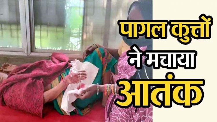 छत्तीसगढ़ में पागल कुत्तों का आतंक, 3 गांवों में 5 लोगों पर किया हमला, अस्पताल में भर्ती, इलाज जारी, ग्रामीणों में डर और आक्रोश का माहौल