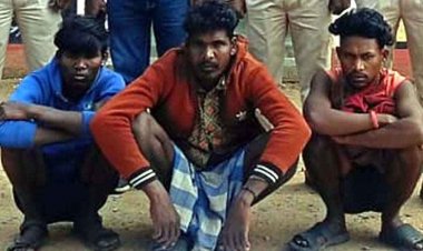 आग लगाकर फंदे बिछा रहे तीन शिकारी गिरफ्तार, उदंती-सीतानदी टाइगर रिजर्व में अवैध शिकार की साजिश फेल, फंदा और कुल्हाड़ी जब्त