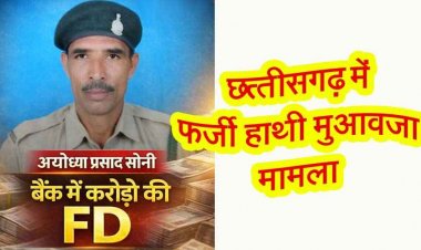 फर्जी हाथी मुआवजा मामला, 50–70 लाख का खेल और सहकारी बैंक में करोड़ों की एफडी! वन परिक्षेत्र में बढ़ा विवाद, कार्यवाही की मांग तेज