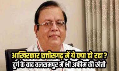 छत्तीसगढ़ में अवैध नशे का कारोबार, दुर्ग के बाद बलरामपुर में भी अफीम खेती का खुलासा, भाजपा सरकार पर संरक्षण के आरोप -अमितेश शुक्ल