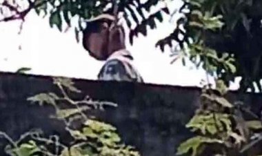 9वीं के नशेड़ी छात्र ने फांसी लगाकर खुद को उतारा मौत के घाट, आम के पेड़ से लटकी मिली लाश, इलाके में शोक का माहौल, परिजनों का रो-रोकर बुरा हाल