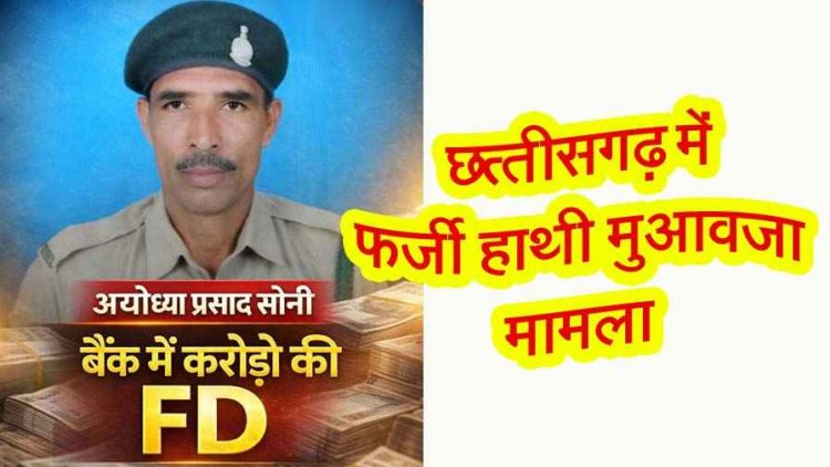 फर्जी हाथी मुआवजा मामला, 50–70 लाख का खेल और सहकारी बैंक में करोड़ों की एफडी! वन परिक्षेत्र में बढ़ा विवाद, कार्यवाही की मांग तेज