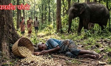 महुआ बीनने गए बुजुर्ग को हाथी ने कुचला, गजराज के हमले से दर्दनाक ग्रामीण की मौके पर ही मौत, ग्रामीणों में दहशत का माहौल, वन विभाग ने जारी किया एलर्ट