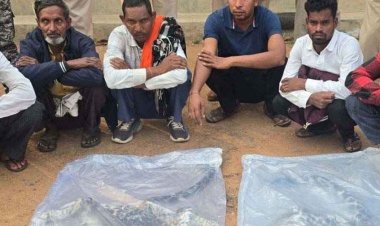 तस्करी के अंतर्राज्यीय गिरोह का भंडाफोड़, 2 खालें जब्त, वन विभाग को तस्करों के खिलाफ मिली बड़ी कामयाबी, तेंदुए की खाल के साथ 9 तस्कर गिरफ्तार