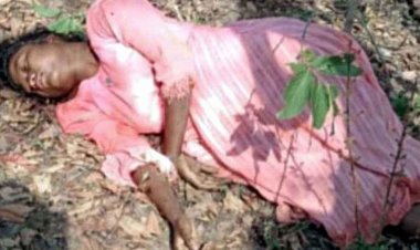 हाथियों का तांडव, महुआ बीनने गई 14 वर्षीय किशोरी को लोनर हाथी ने कुचला, युवक ने भागकर बचाई अपनी जान, इलाके में दहशत का माहौल, सुरक्षा की मांग