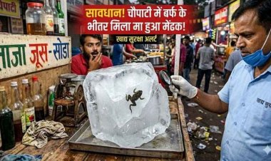 जूस दुकान की बर्फ में मरा मेंढक मिलने से हड़कंप, वीडियो वायरल, लोगों में आक्रोश, चौपाटी संघ ने किया संबंधित फैक्ट्री के खिलाफ कार्रवाई की मांग