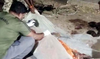 शादी से लौटते समय दर्दनाक हादसा, धमतरी में साइकिल सवार को अज्ञात वाहन ने कुचला, वाहन का पहिया युवक के ऊपर से गुजरा, मौके पर मौत