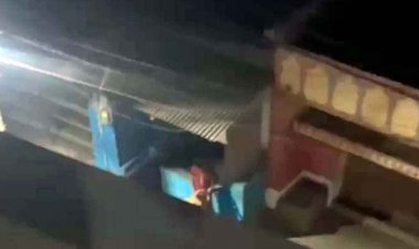 भाठागांव में युवक ने गाय के साथ किया कुकर्म, सोशल मीडिया पर वीडियो जमकर वायरल, हिरासत में आरोपी, जांच में जुटी पुलिस, लोगों में आक्रोश