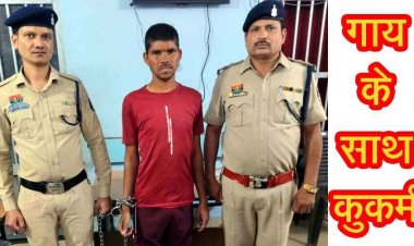 भाठागांव में युवक ने गाय के साथ किया कुकर्म, वीडियो जमकर वायरल होने के बाद लोगों में आक्रोश, पुलिस ने आरोपी होरी लाल को गिरफ्तार कर भेजा जेल