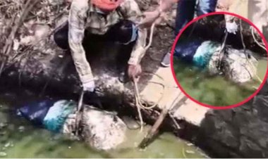 बोरी में ठूंसकर-बोल्डर बांधकर कुएं में फेंकी सड़ी-गली लाश, एक हफ्ते में दूसरे खौफनाक हत्याकांड से महासमुंद में फैली सनसनी, जांच में जुटी पुलिस