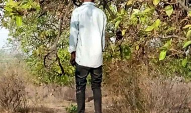 आम के पेड़ पर झूलती मिली लापता युवक की लाश, इलाके में फैली सनसनी, परिजनों में शोक की लहर, आत्महत्या य कुछ और?, जांच में जुटी पुलिस