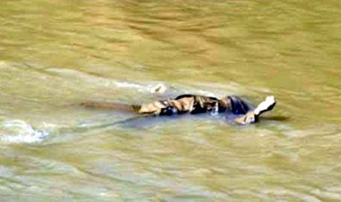 केनाल में तैरती मिली अज्ञात युवक की लाश, डीडीआरएफ की टीम ने रेस्क्यू कर शव निकाला बाहर, फैली सनसनी, हत्या या हादसा?, जांच में जुटी पुलिस