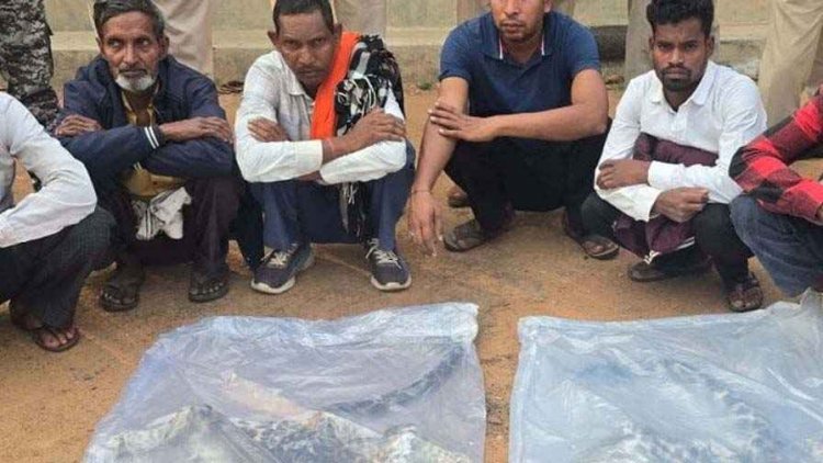 तस्करी के अंतर्राज्यीय गिरोह का भंडाफोड़, 2 खालें जब्त, वन विभाग को तस्करों के खिलाफ मिली बड़ी कामयाबी, तेंदुए की खाल के साथ 9 तस्कर गिरफ्तार