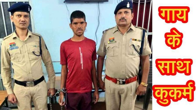भाठागांव में युवक ने गाय के साथ किया कुकर्म, वीडियो जमकर वायरल होने के बाद लोगों में आक्रोश, पुलिस ने आरोपी होरी लाल को गिरफ्तार कर भेजा जेल