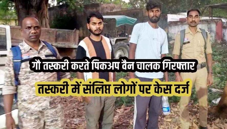 छत्तीसगढ़ में गौ तस्करी, मवेशियों को वाहन में परिवहन कर रहे दो आरोपियों को पुलिस ने किया गिरफ्तार, तस्करों से 2 गाय और बछिया बरामद, पिकअप जप्त