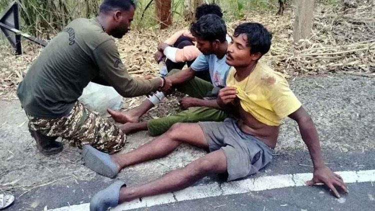 नाले में गिरा धान से भरा तेज रफ्तार ट्रक, दबने से ड्राइवर और कंडक्टर की मौके पर ही दर्दनाक मौत, 10 मजदूर घायल, घायलों का अस्पताल में इलाज जारी