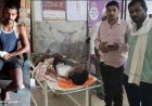 पाण्डुका में तेंदूपत्ता तोड़ने गए ग्रामीण पर जंगली सूअर का हमला, घायलों में 2 पुरुष और दो महिला शामिल, इधर श्यामनगर हरदी में ग्रामीणों पर 6 भालुओं का हमला