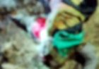 कबीरधाम में दिल दहला देने वाला मामला, नग्न हालत में मिली महिला की लाश, फैली सनसनी, दुष्कर्म के बाद हत्या की आशंका, जांच में जुटी पुलिस