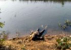 नहर में मिला दो दिनों से लापता बुजुर्ग का शव, इलाके में फैली सनसनी, हत्या या आत्महत्या जांच में जुटी पुलिस, पोस्टमार्टम रिपोर्ट का इन्तेजार