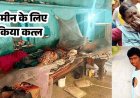 जायदाद के लिए बेटे ने माता-पिता, भतीजा-भतीजी को कुल्हाड़ी से हमला कर उतारा मौत के घाट. घर में खाट पर मिले शव, आरोपी सोन साय और गोलू गिरफ्तार