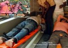 छत्तीसगढ़ की गुफा में शोध के दौरान मधुमक्खियों का हमला, साइंटिस्ट-रिसर्चर और वनकर्मी घायल, अस्पताल में भर्ती, मौके पर मची अफरा-तफरी