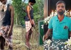 आधी रात की दर्दनाक घटना से दहला गोहेकेला, पेड़ पर लटका मिला 35 वर्षीय पूर्व सरपंच पुत्र का शव, संदिग्ध मौत से गांव में शोक का माहौल