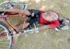 पेड़ के नीचे बैठना पड़ा भारी, आकाशीय बिजली की चपेट में आने से 35 वर्षीय युवक की मौत, गांव में पसरा मातम, अचानक घर पर टूट पड़ा दुखों का पहाड़