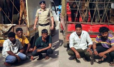 चरने गए मवेशियों की चोरी, CCTV बना गवाह, तामेश्वर और समीर समेत 5 आरोपी गिरफ्तार होकर पहुंचे सलाखों के पीछे, तीन गाय और एक भैंस बरामद