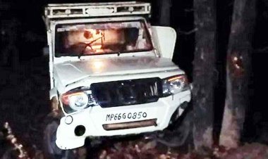 छत्तीसगढ़ में भीषण सड़क हादसा, शादी से लौट रही पिकअप पलटी पिकअप पलटने से 3 बारातियों की मौत, एक दर्जन बारीती घायल, 3 की हालत नाजुक