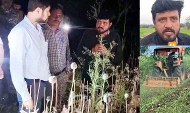अफीम की खेती का खुलासा करने वाला सरपंच बर्खास्त, चुनावी हलफनामे में आपराधिक मामला छिपाया, 2 महीने पहले बीजेपी नेता के खिलाफ की शिकायत