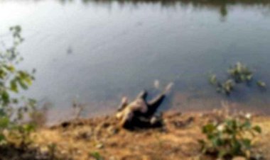 नहर में मिला दो दिनों से लापता बुजुर्ग का शव, इलाके में फैली सनसनी, हत्या या आत्महत्या जांच में जुटी पुलिस, पोस्टमार्टम रिपोर्ट का इन्तेजार