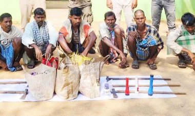 बाघ के शिकार की साजिश नाकाम, जहर डालकर जंगल का सुल्तान मारने निकले 7 शिकारी गिरफ्तार, कई आरोपी अब भी फरार,  जंगल में हाई अलर्ट