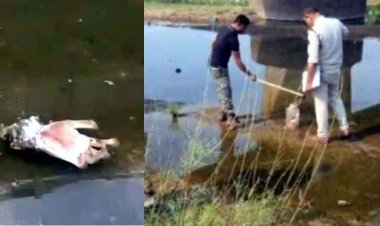 नदी में मिला अज्ञात व्यक्ति का कटा हुआ हाथ, इलाके में फैली सनसनी, बेरहमी से हत्या की आशंका, इलाके में फैली सनसनी, जांच में जुटी पुलिस, पूछताछ जारी