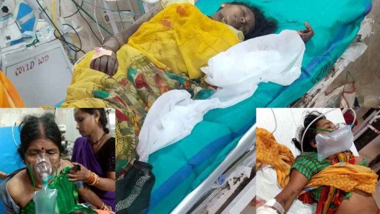 जंगल में रोज़ी-रोटी की तलाश बनी खतरा, तेंदूपत्ता तोड़ने गए ग्रामीणों पर जंगली सूअर का हमला, 10 घायल, गांव में दहशत का माहौल, सुरक्षा व्यवस्था पर उठे सवाल