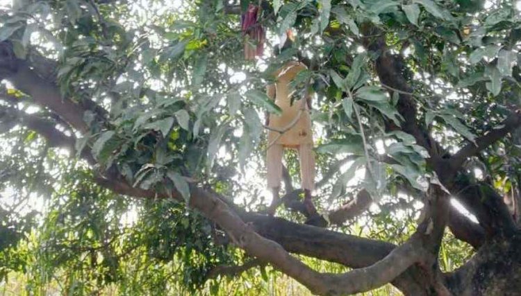 जीजा के साथ लिव-इन रिलेशनशिप में रह रही महिला की फांसी के फंदे पर लटकी मिली लाश, इलाके में फैली सनसनी, क्षेत्र में चर्चा का माहौल, जांच में जुटी पुलिस