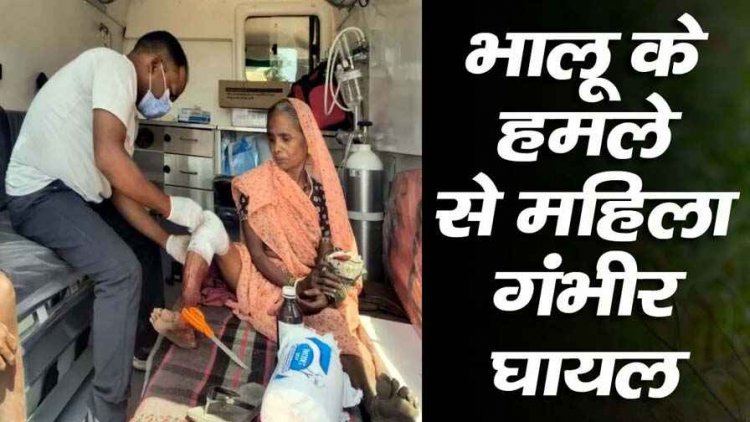 तेंदूपत्ता संग्रहण के दौरान भालू का जानलेवा हमला, 60 वर्षीय बुजुर्ग महिला गंभीर रूप से घायल, अस्पताल में भर्ती, इलाज जारी, साथियों की सूझबूझ से बची जान